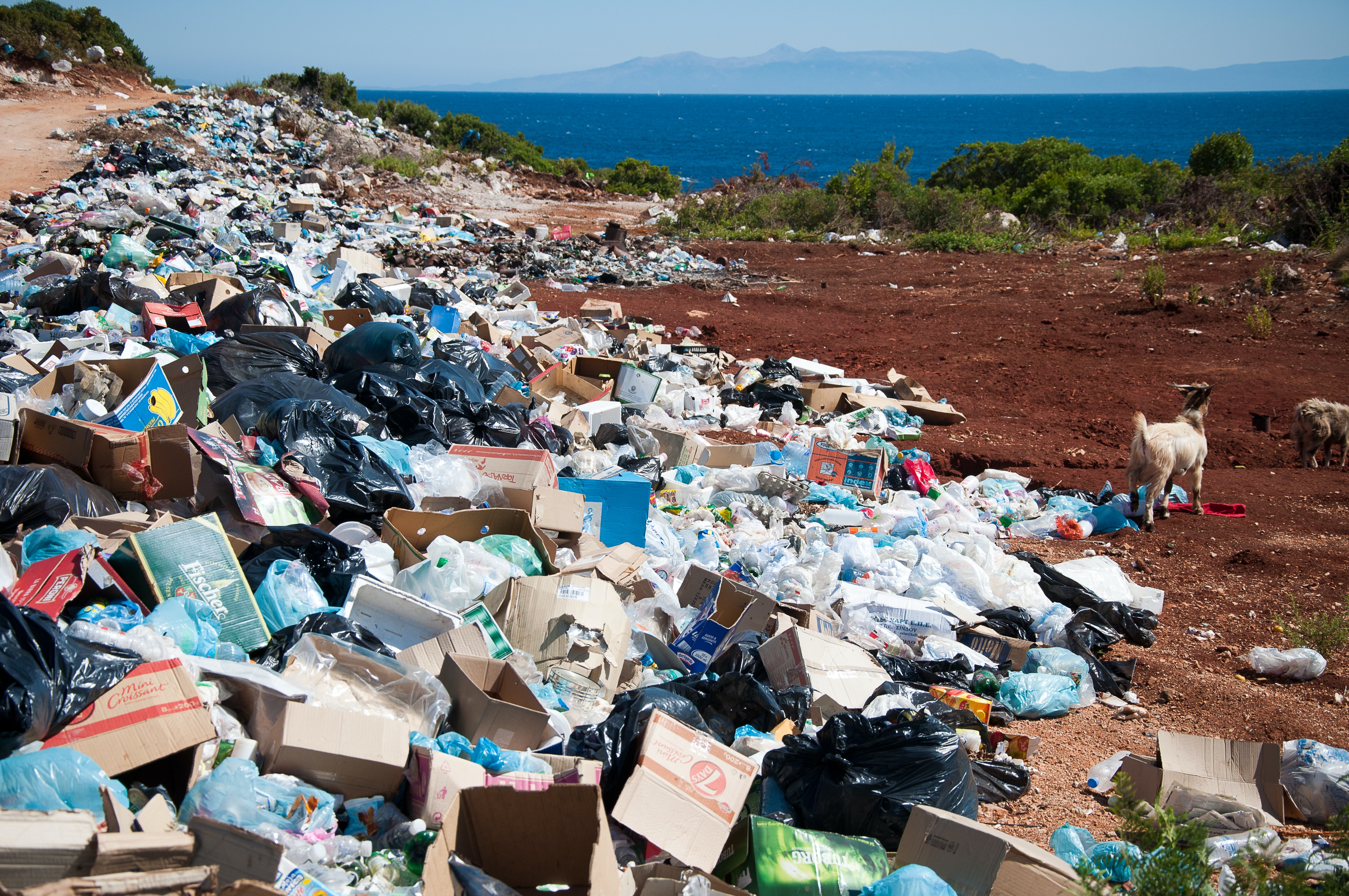 C'est quoi le problème des déchets (et puis on recycle, non ?) - Dream Act
