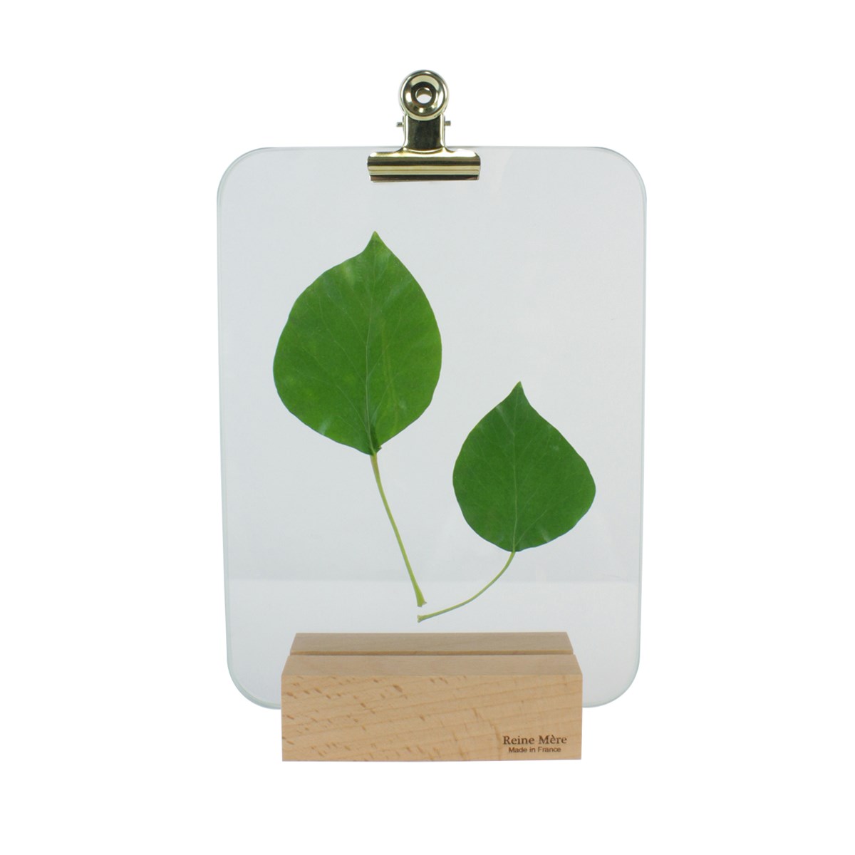 Sous-verre porte photo avec pince métal doré - VERRIERE 2