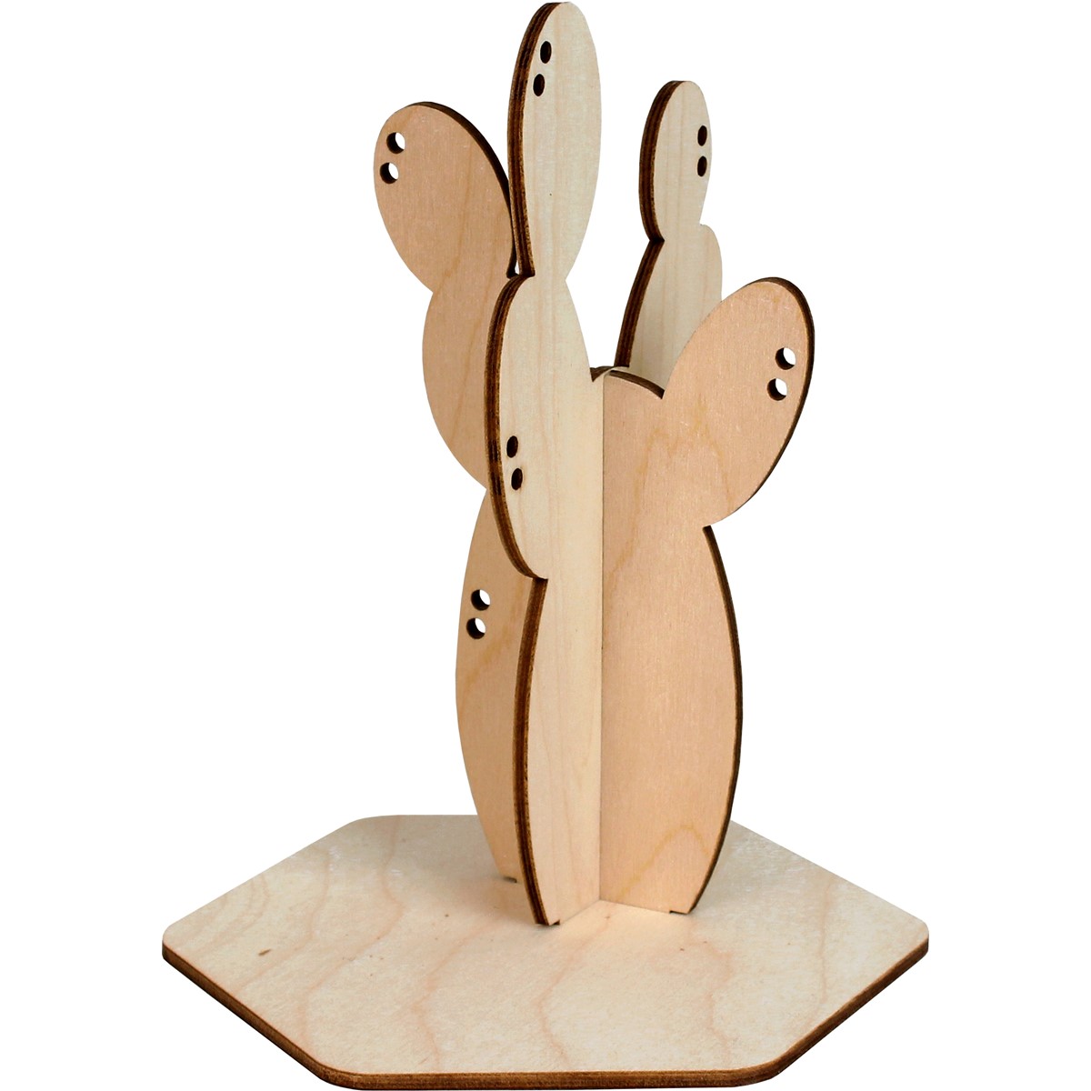 Cactus porte-bijoux - California  2