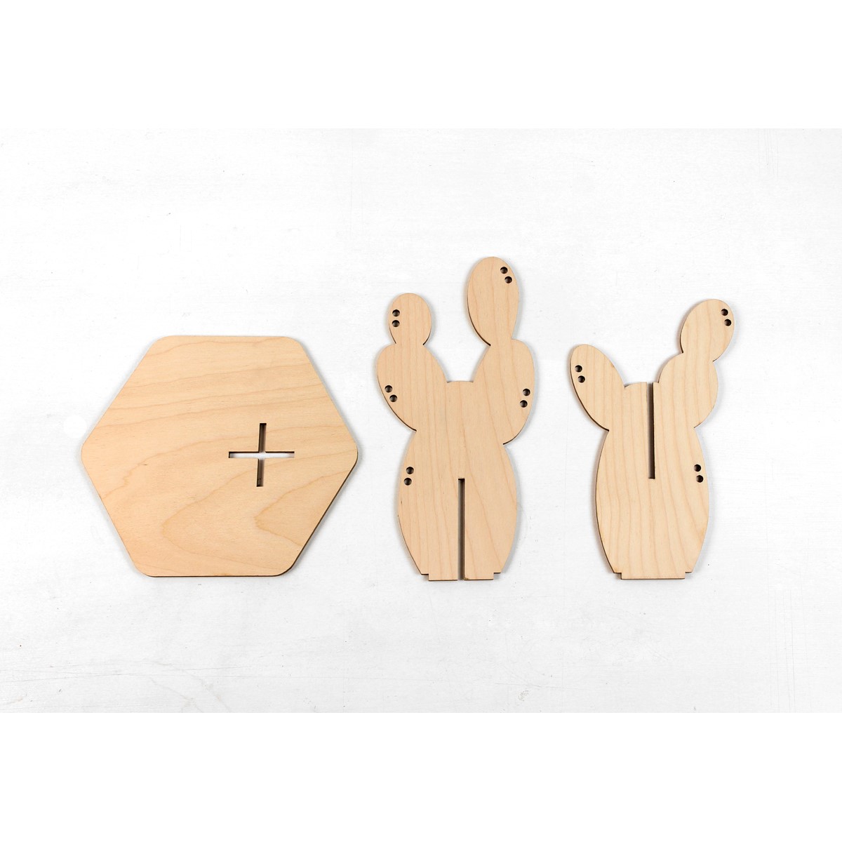 Cactus porte-bijoux - California  3