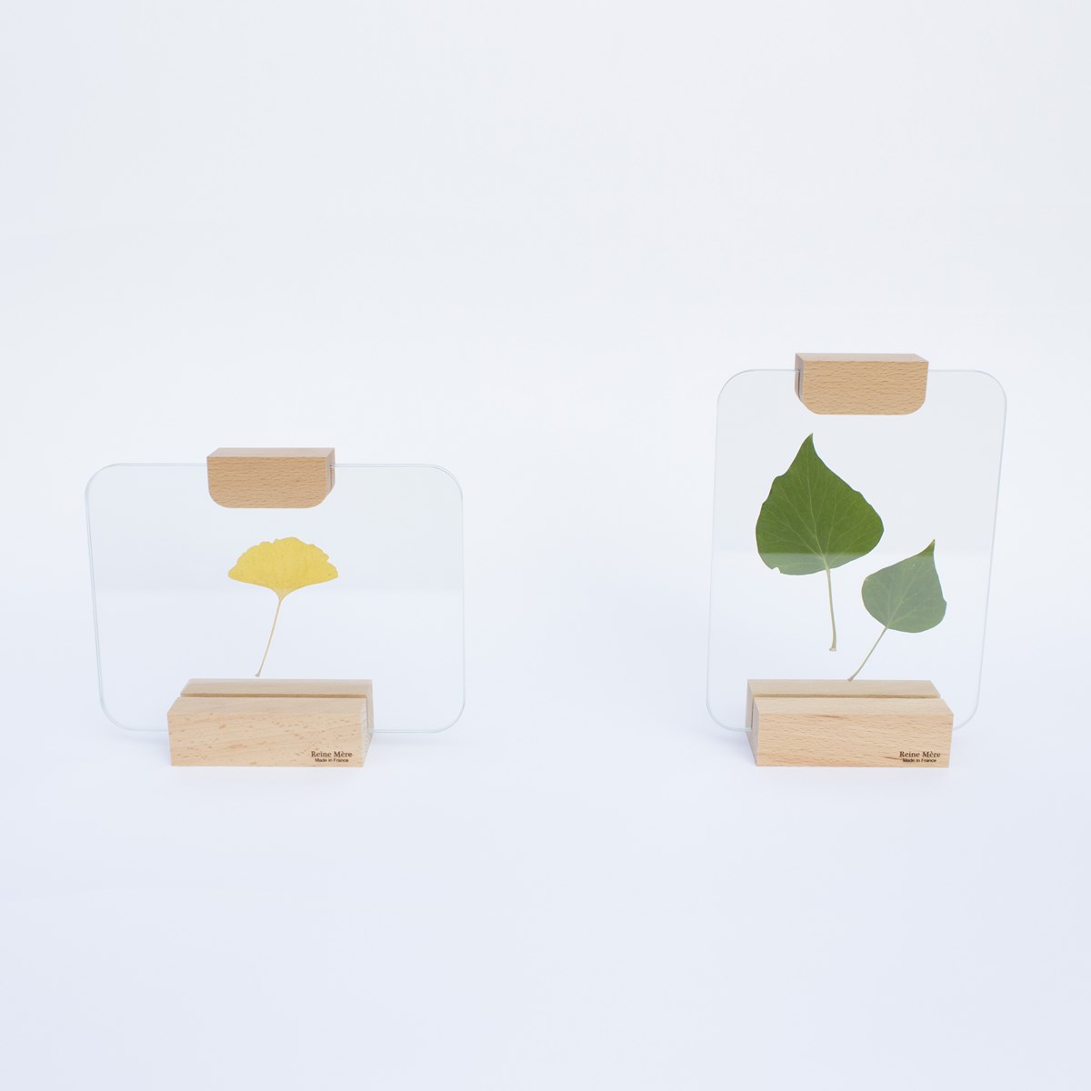 Sous-verre porte photo avec pince bois - VERRIERE 4