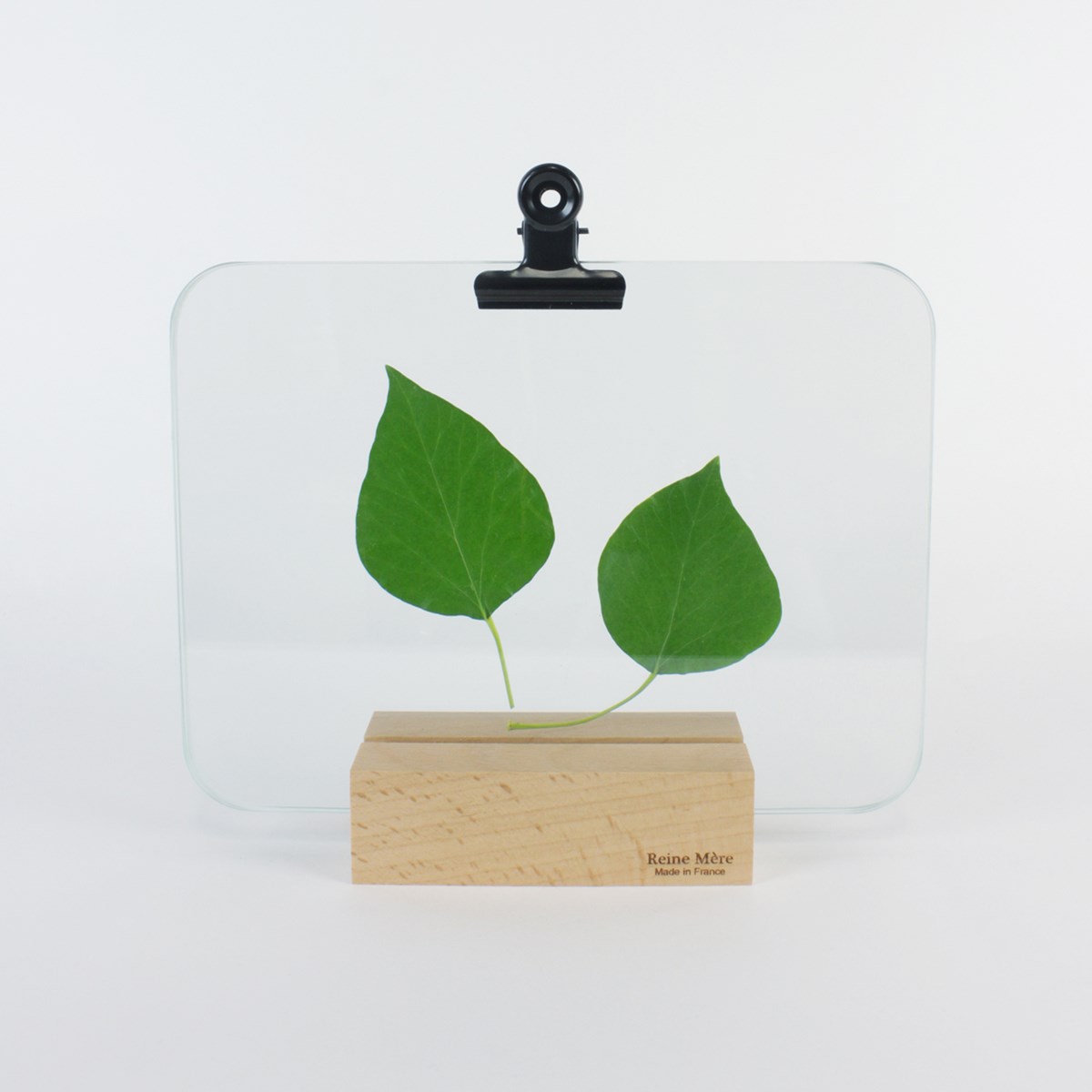 Sous-verre porte photo avec pince métal noir - VERRIERE 4