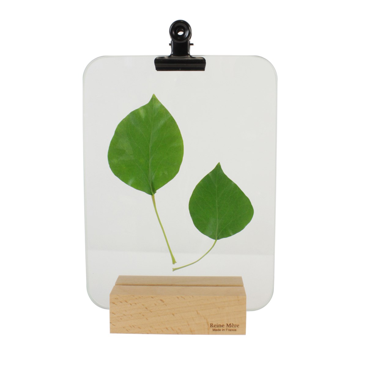 Sous-verre porte photo avec pince métal noir - VERRIERE 2