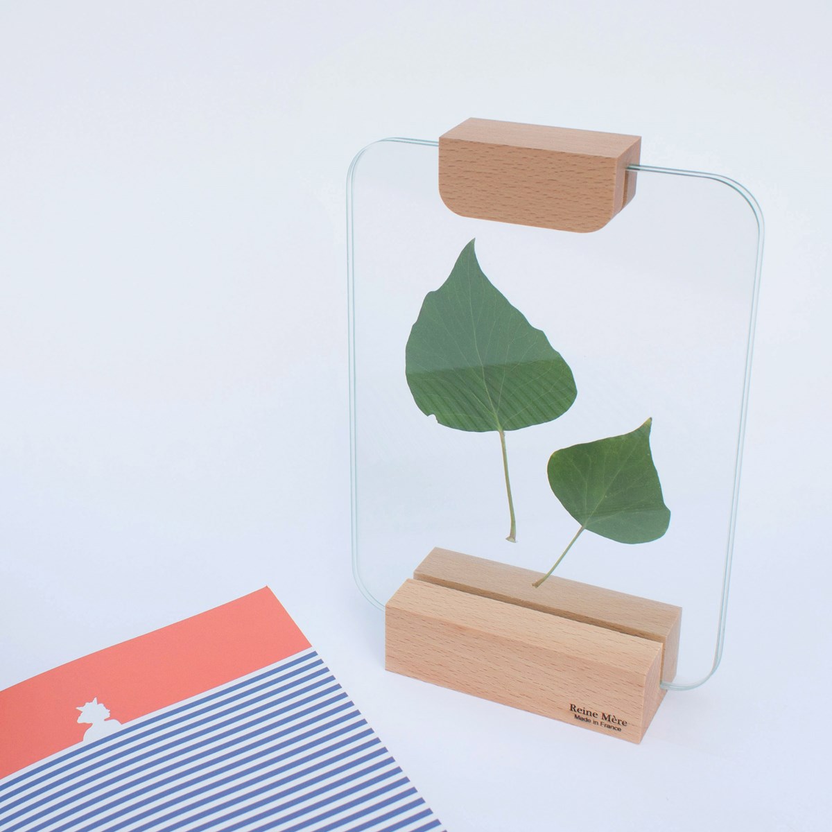 Sous-verre porte photo avec pince bois - VERRIERE 6