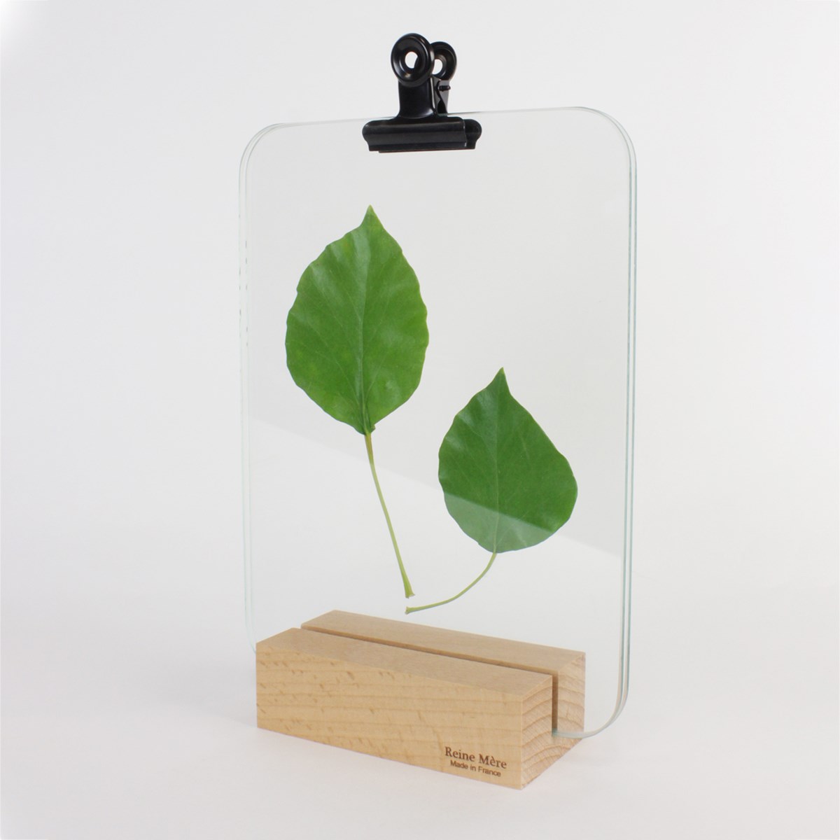 Sous-verre porte photo avec pince métal noir - VERRIERE 3