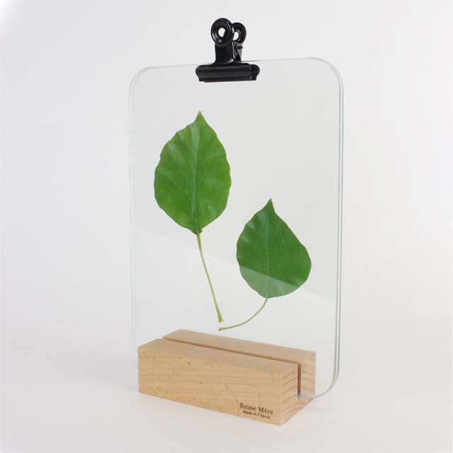 Sous-verre porte photo avec pince métal noir - VERRIERE 3