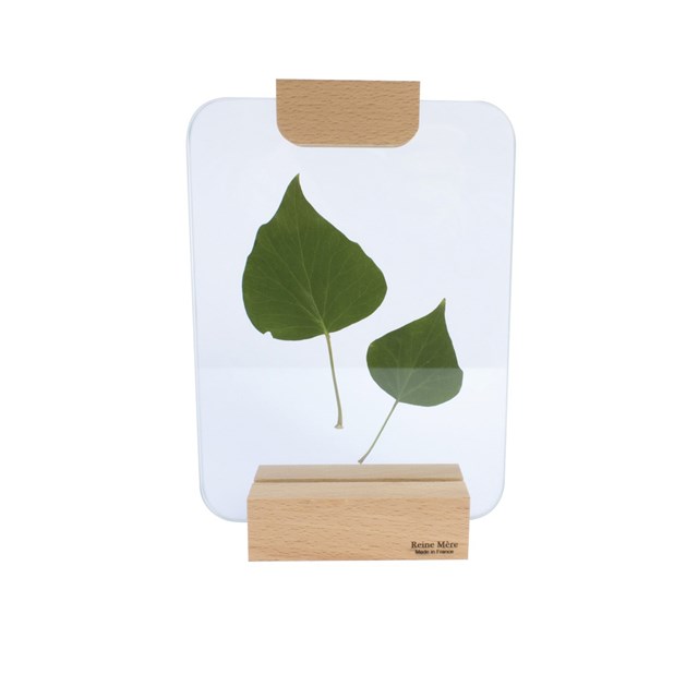 Sous-verre porte photo avec pince bois - VERRIERE 3