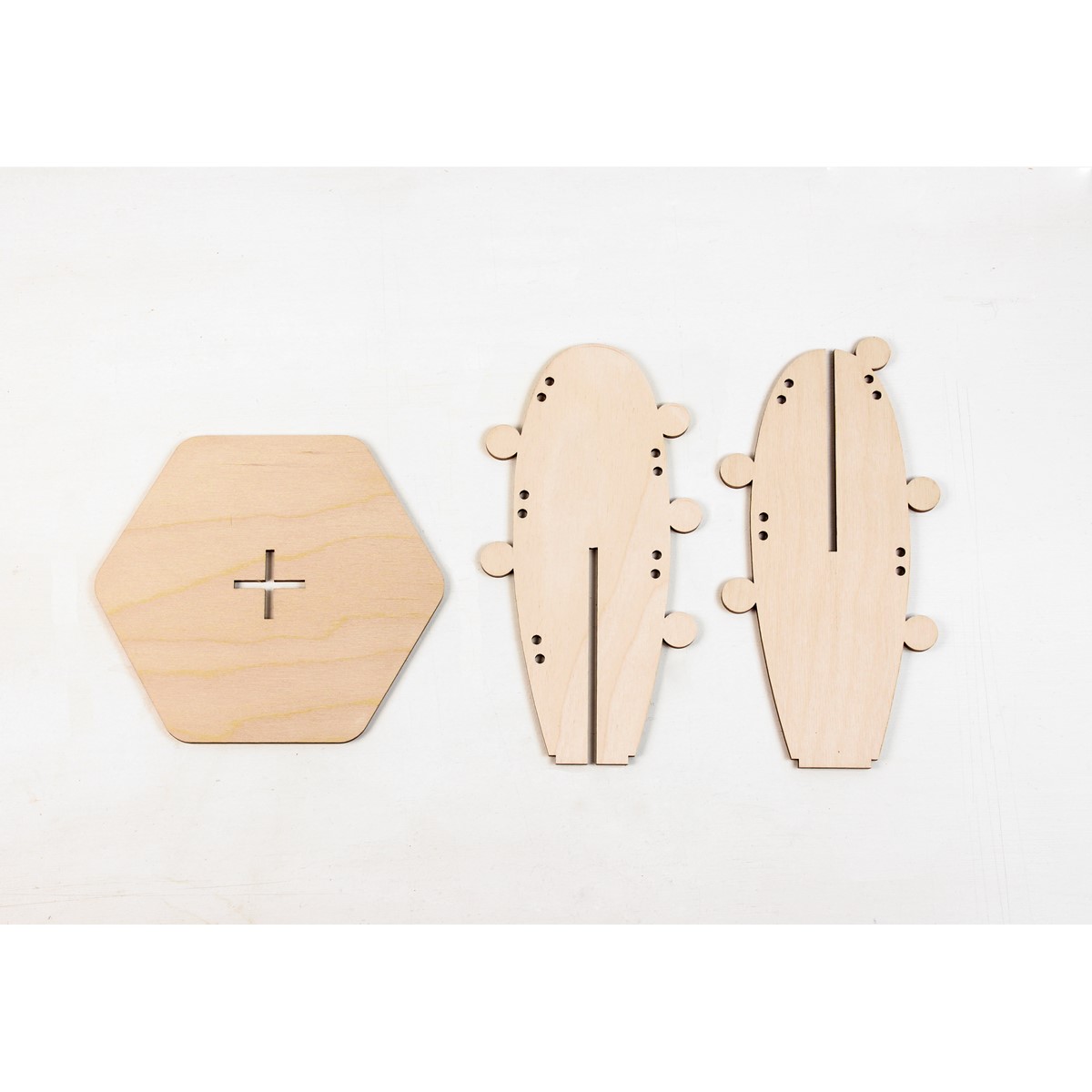 Cactus porte-bijoux - Arizona  3