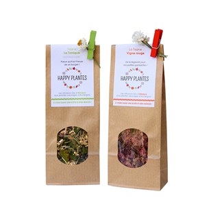 Infusions BIO Tonus et Vigne Rouge