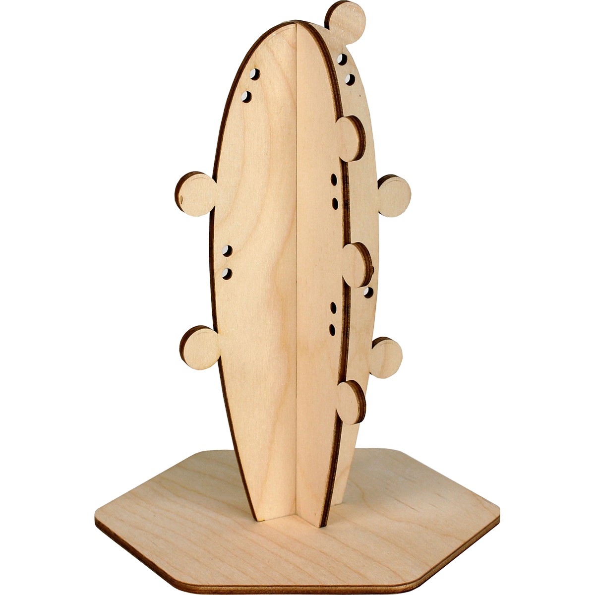 Cactus porte-bijoux - Arizona  2