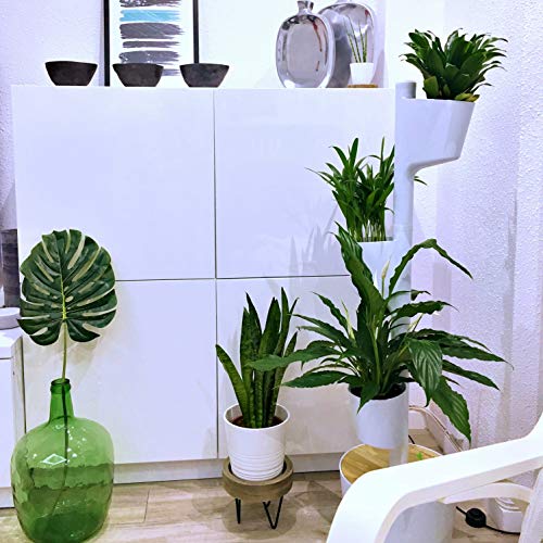 Jardinière verticale d'intérieur avec arrosage intelligent WiFi 13