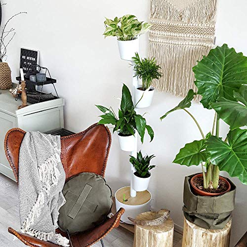 Jardinière verticale d'intérieur avec arrosage intelligent WiFi 19