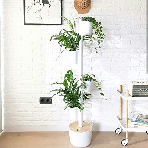 Jardinière verticale d'intérieur avec arrosage intelligent WiFi 20