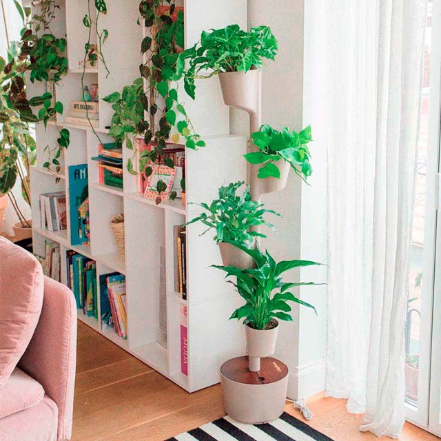 Jardinière verticale d'intérieur avec arrosage intelligent WiFi 51