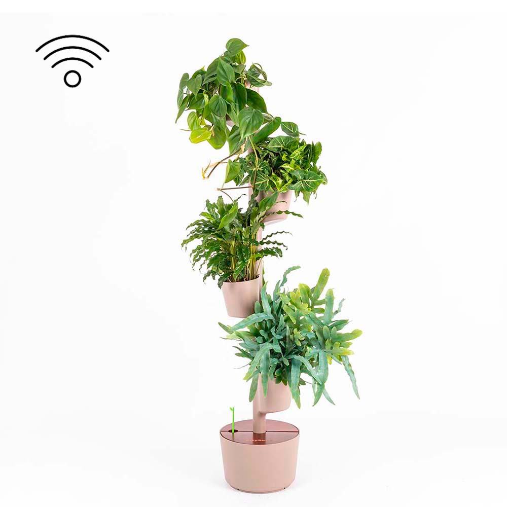 Jardinière verticale d'intérieur avec arrosage intelligent WiFi 50