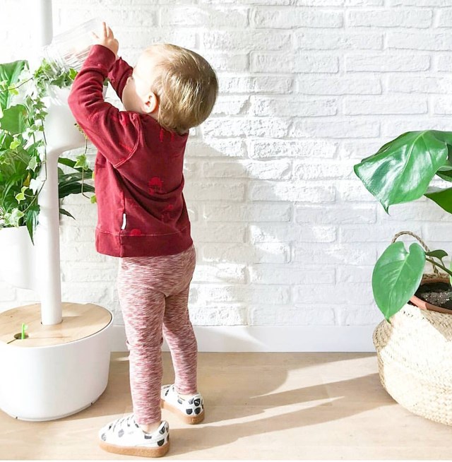 Jardinière verticale d'intérieur avec arrosage intelligent WiFi 3