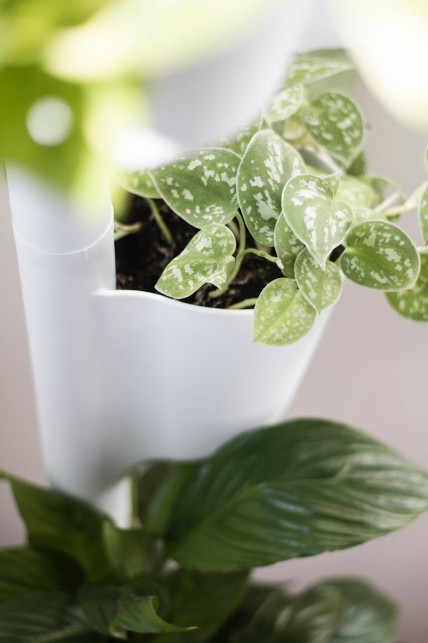 Jardinière verticale d'intérieur avec arrosage intelligent WiFi 4