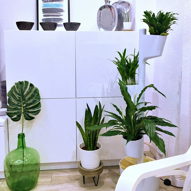Jardinière verticale d'intérieur avec plantes purificatrices d'air 11