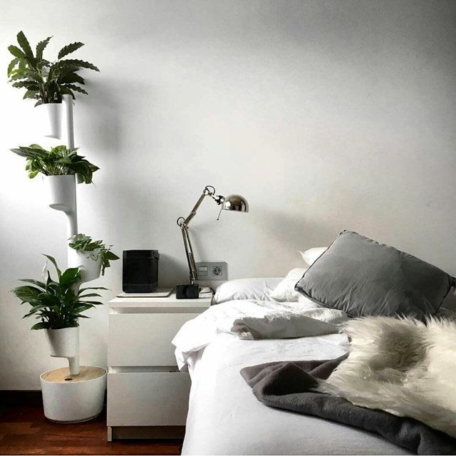 Jardinière verticale d'intérieur avec plantes purificatrices d'air 19