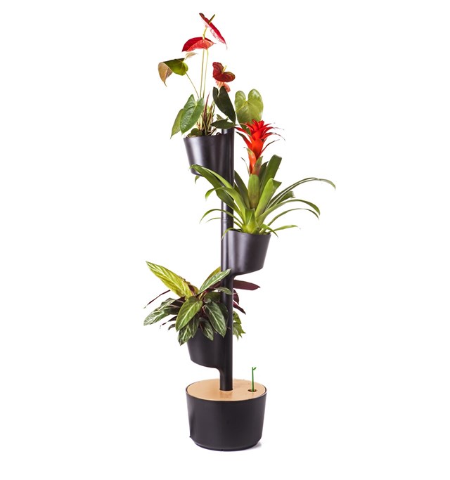 Jardinière verticale d'intérieur avec plantes purificatrices d'air 21