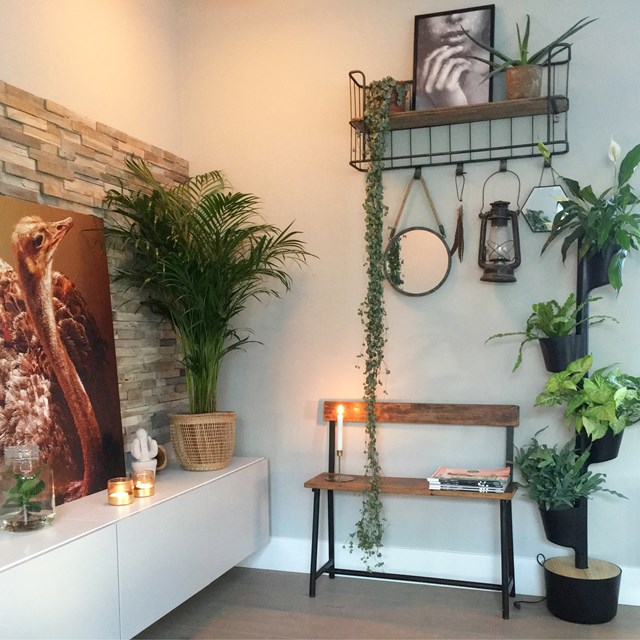 Jardinière verticale d'intérieur avec plantes purificatrices d'air 16