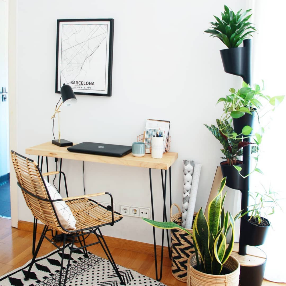 Jardinière verticale d'intérieur avec arrosage automatique 15