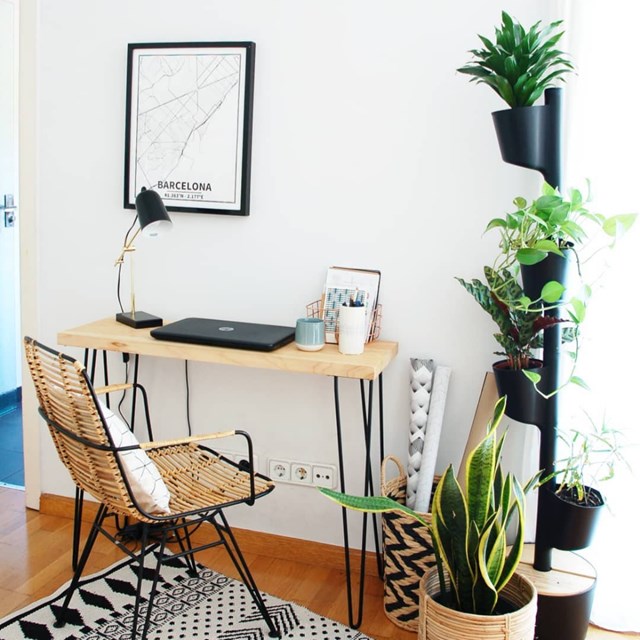 Jardinière verticale d'intérieur avec plantes purificatrices d'air 15