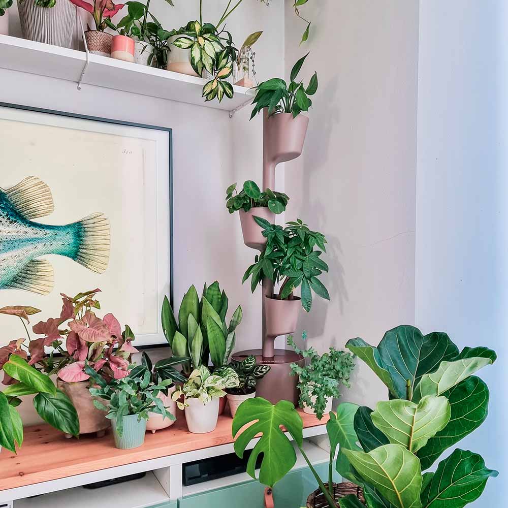 Jardinière verticale d'intérieur avec arrosage automatique 29