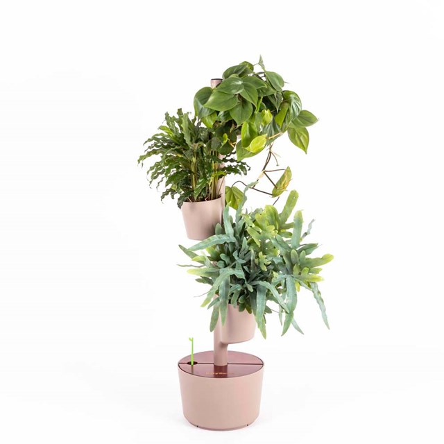 Jardinière verticale d'intérieur avec arrosage automatique 28