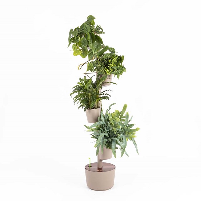 Jardinière verticale d'intérieur avec arrosage automatique 31