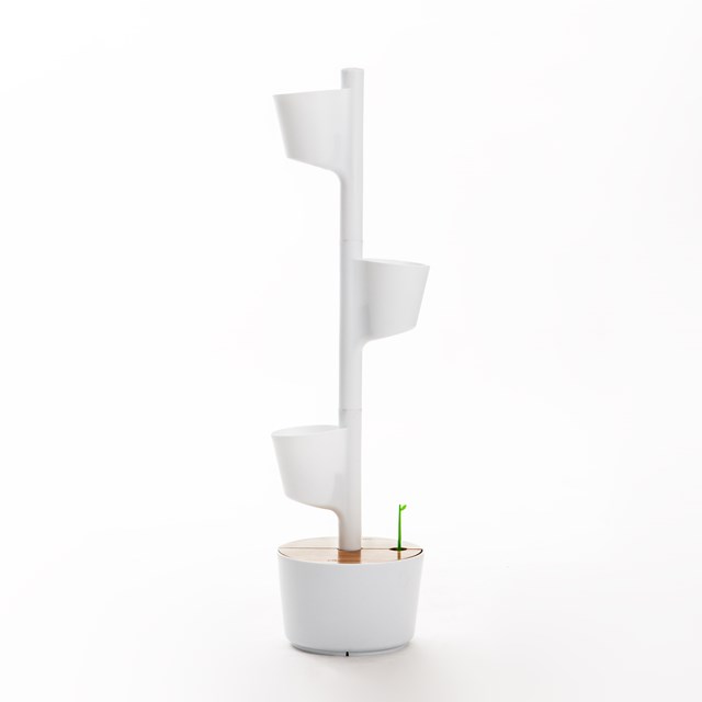Jardinière verticale avec arrosage automatique et graines de plantes aromatiques 5