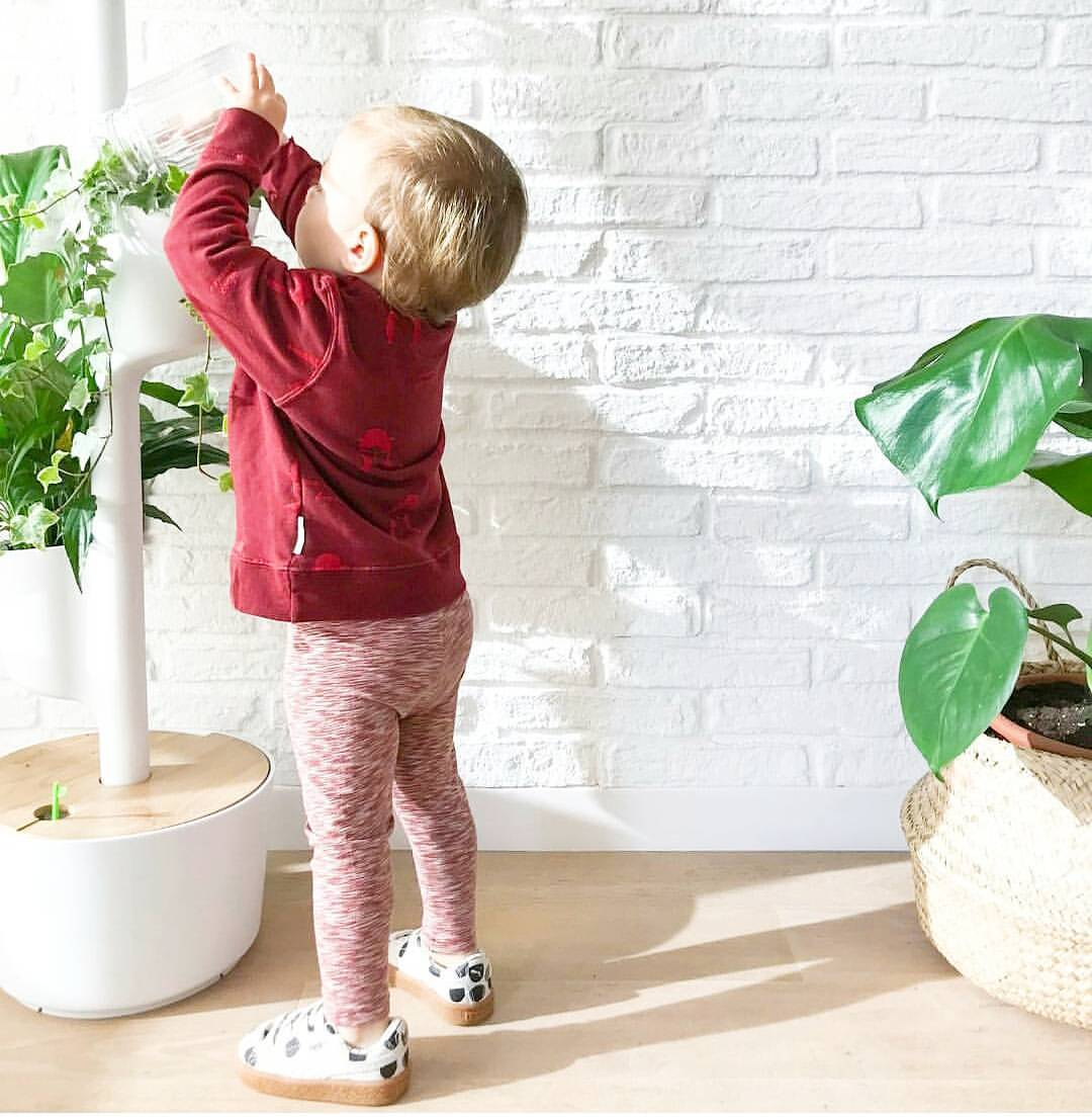 Jardinière verticale d'intérieur avec arrosage automatique 8