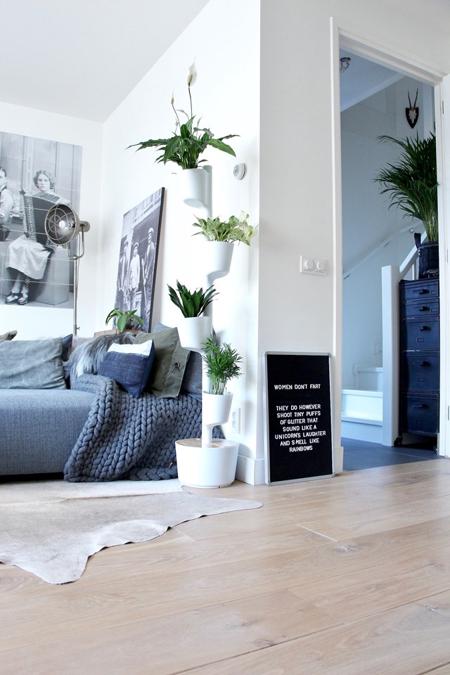 Jardinière verticale d'intérieur avec plantes purificatrices d'air 6