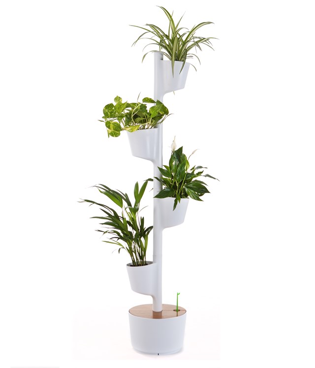 Jardinière verticale d'intérieur avec plantes purificatrices d'air 5