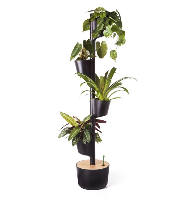 Jardinière verticale d'intérieur avec plantes purificatrices d'air 3