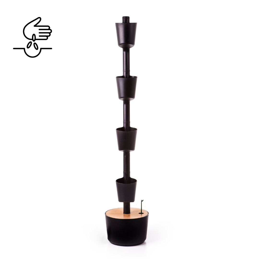 Jardinière verticale avec arrosage automatique et graines de plantes aromatiques 12