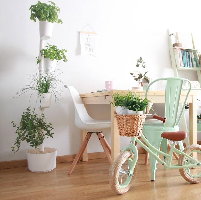 Jardinière verticale avec arrosage automatique et graines de plantes aromatiques 8