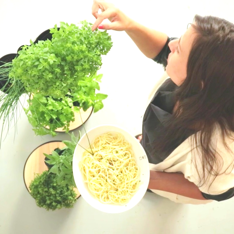 Jardinière verticale avec arrosage automatique et graines de plantes aromatiques 9