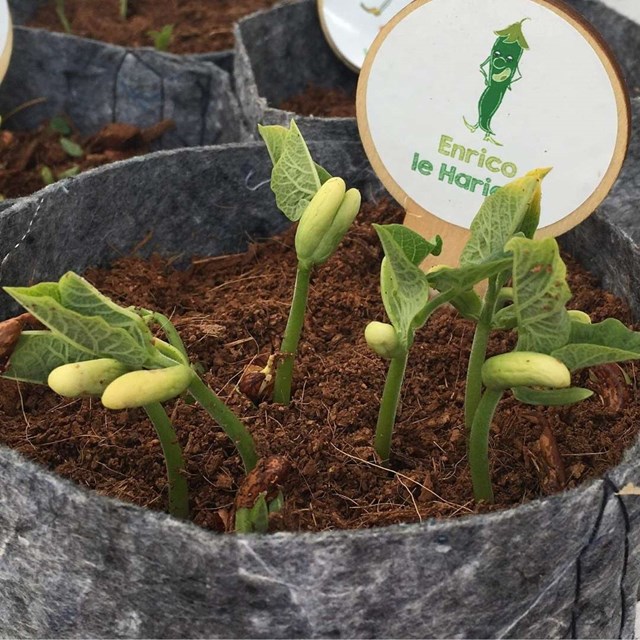 decouverte-du-potager-enfants-cadeau