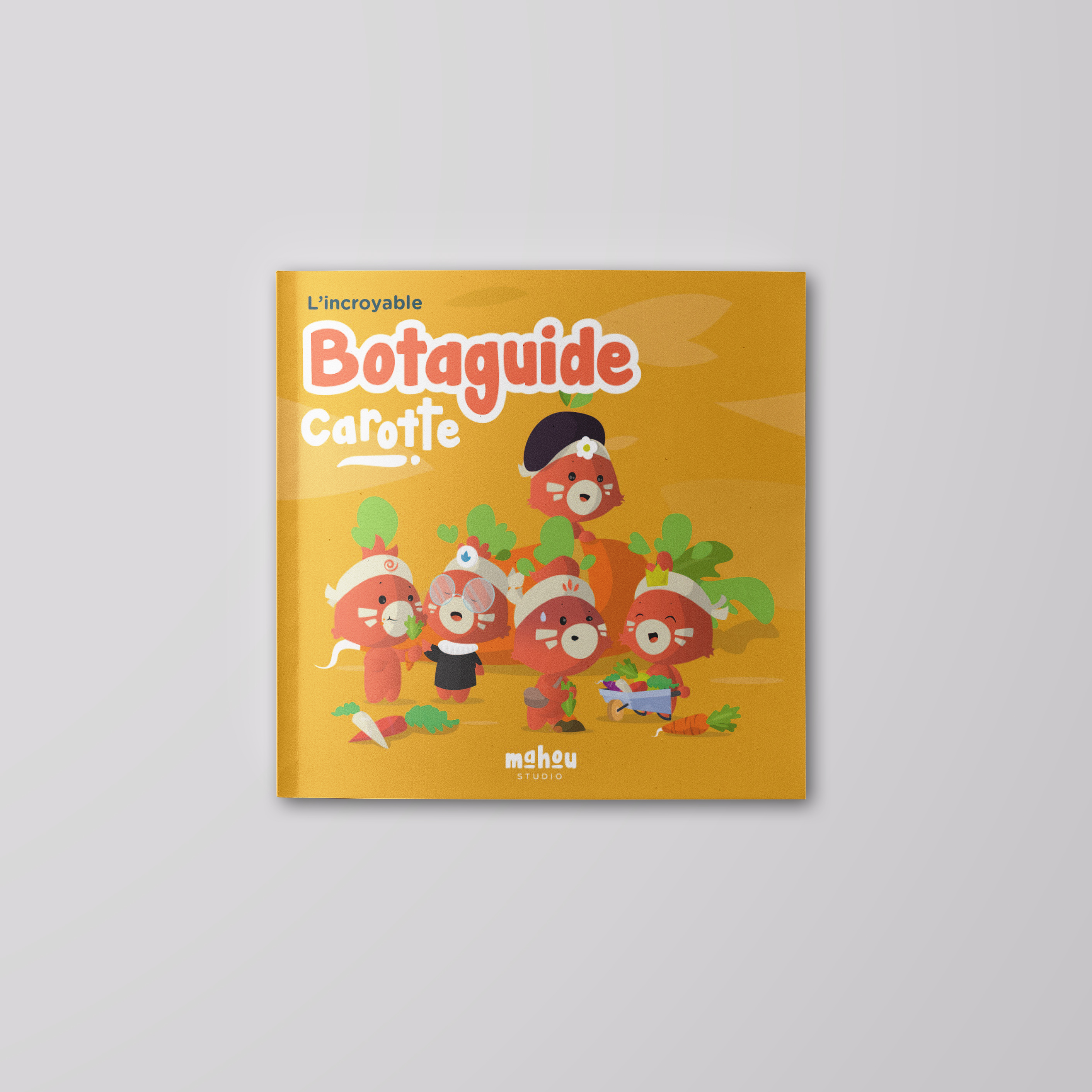 Le kit à semer carotte 3