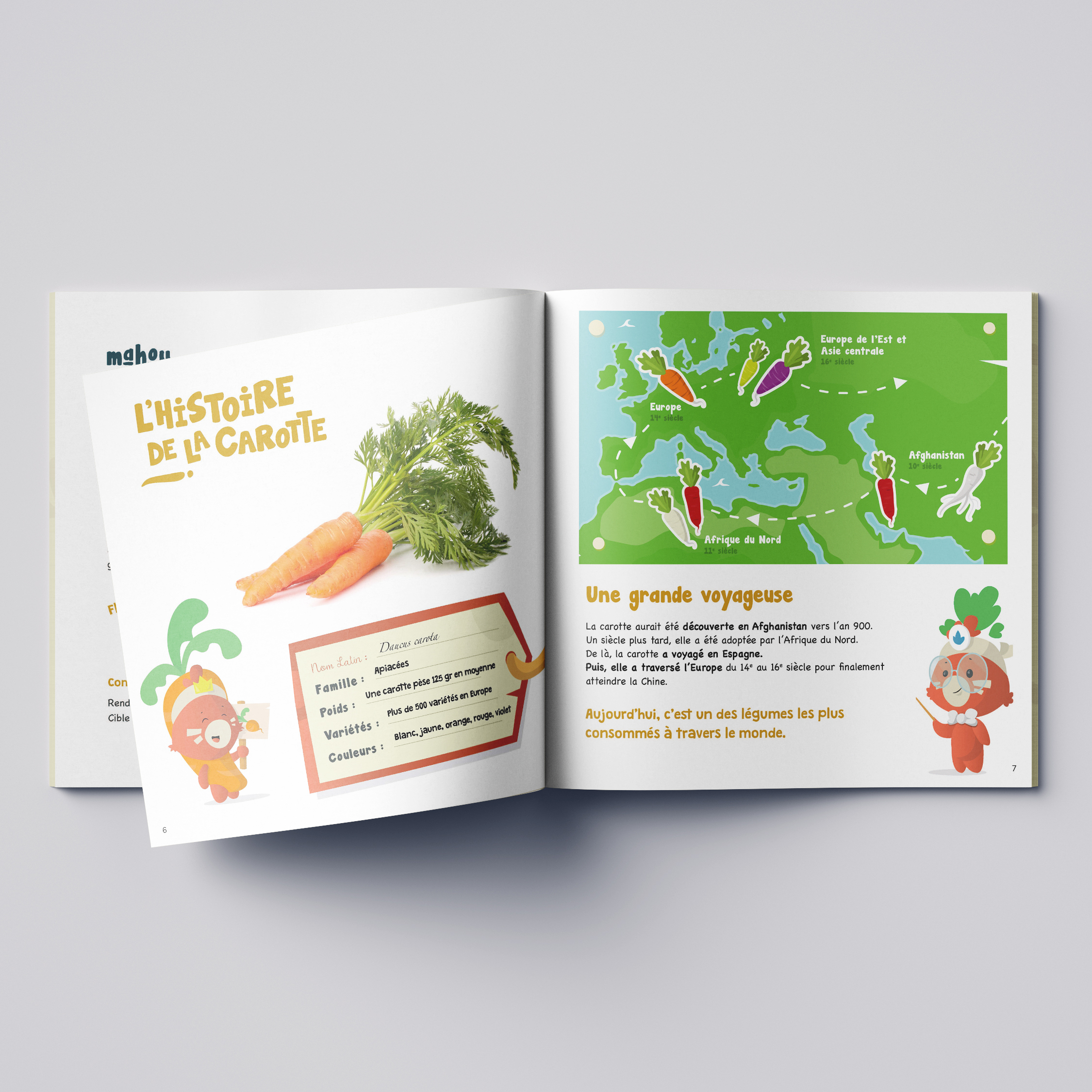 Le kit à semer carotte 4