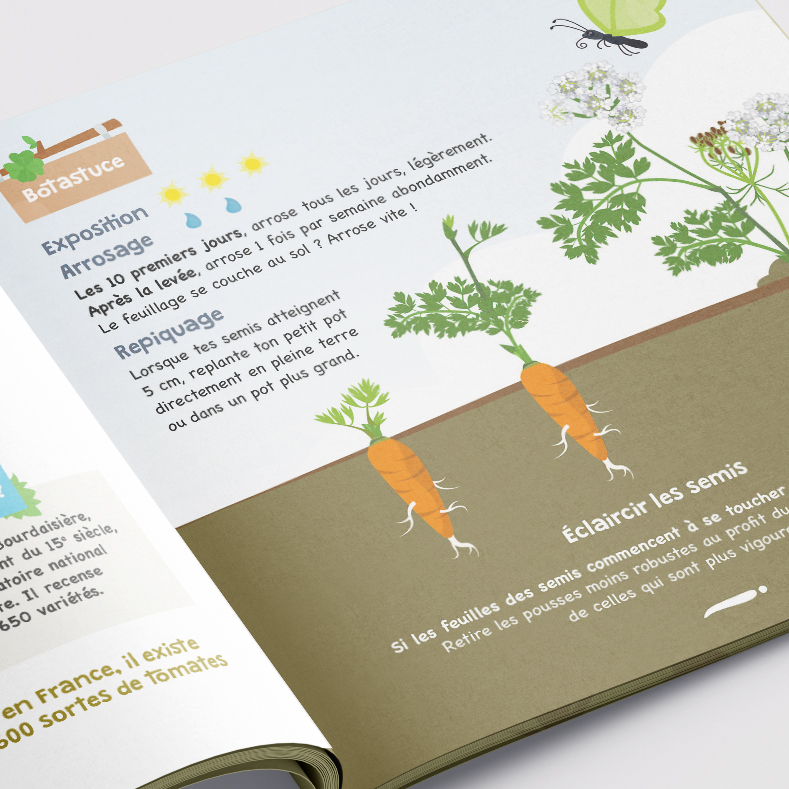 Le kit à semer carotte 5