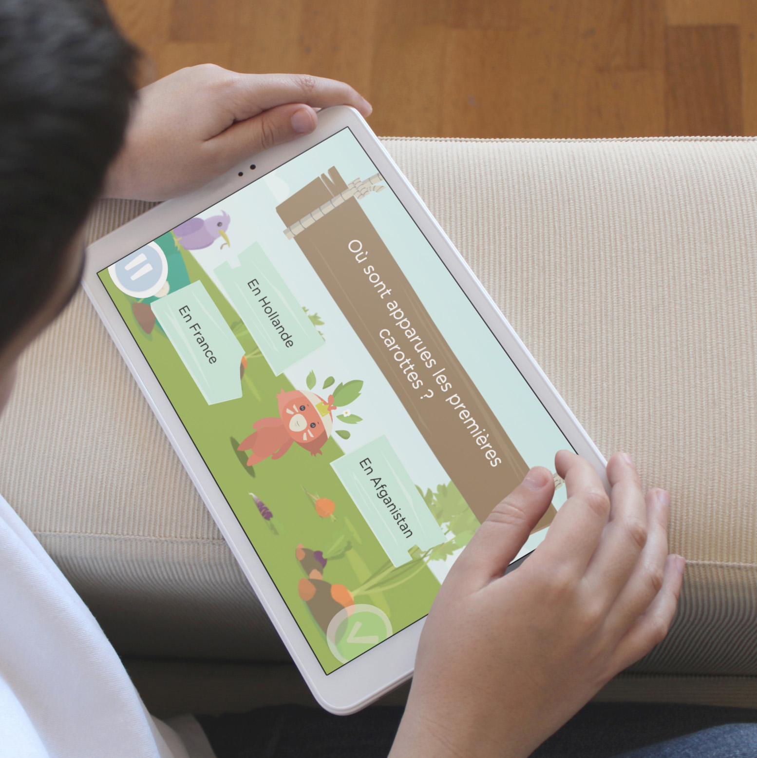 Le kit à semer carotte 6