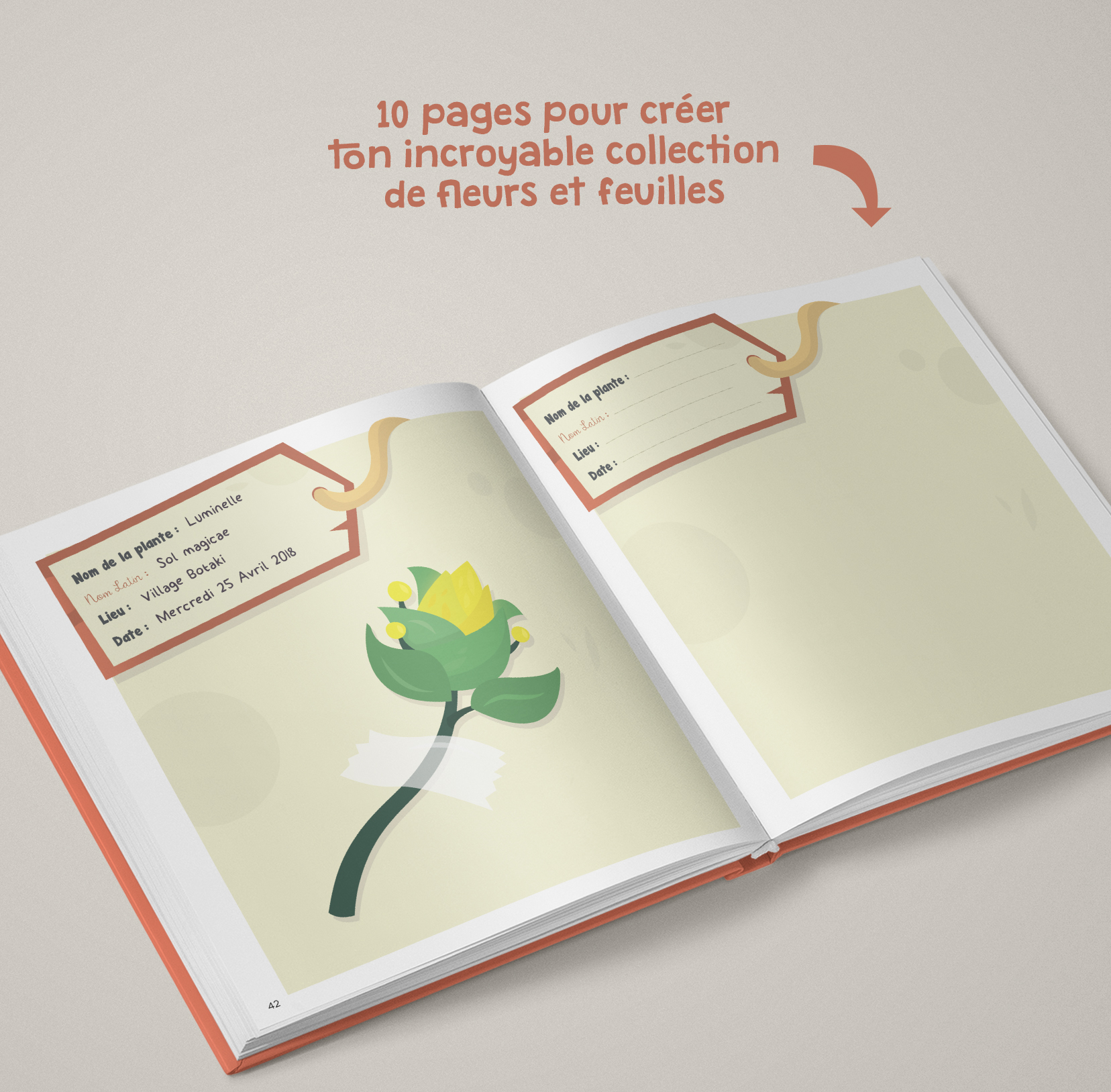 Le Botaguide des secrets de la nature 4