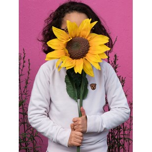 Sweat en coton bio et polyester recyclé - BOUDE CHIEN