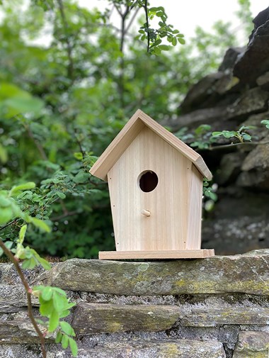 Cabane à oiseaux