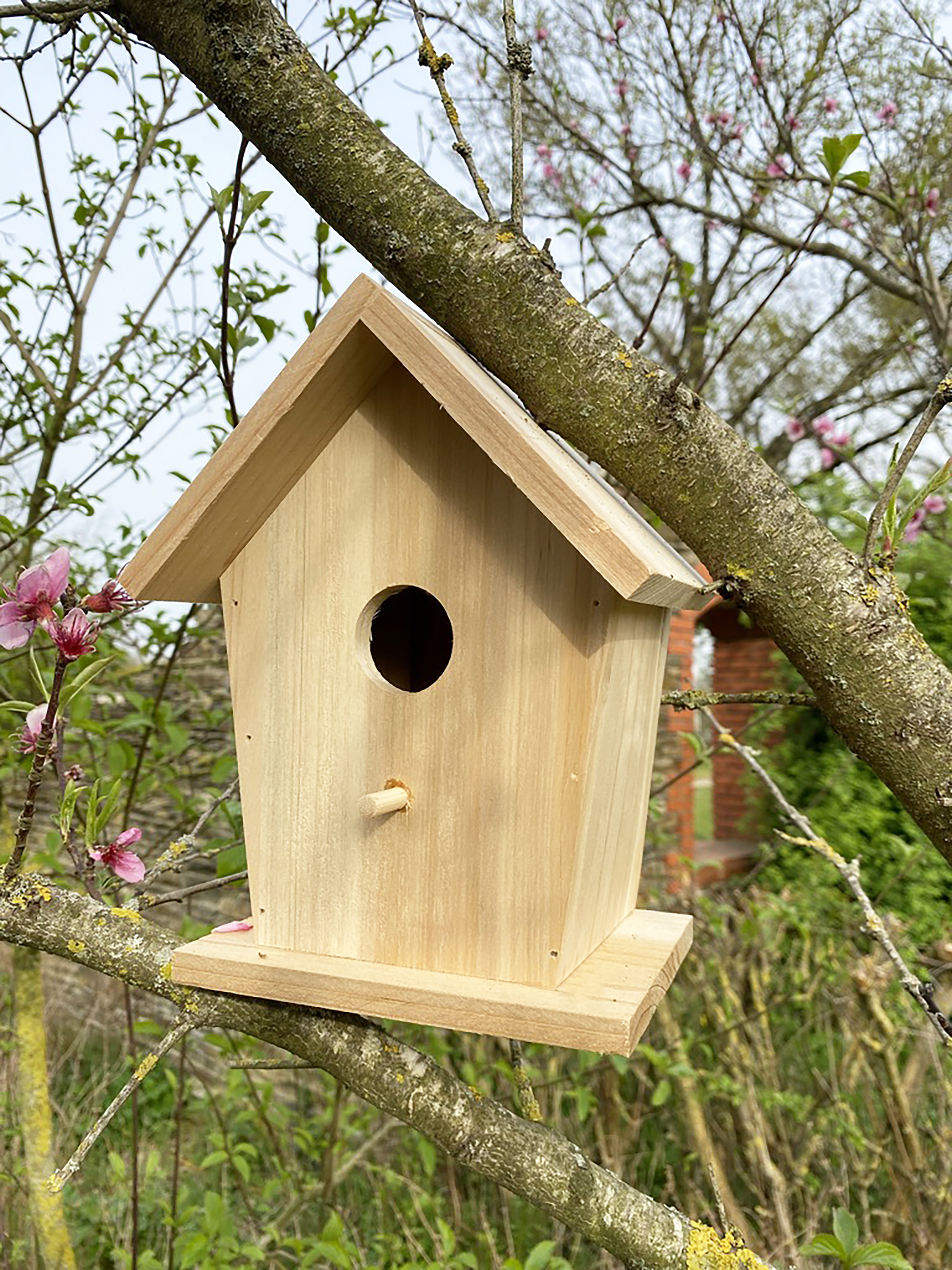 Cabane à oiseaux 5