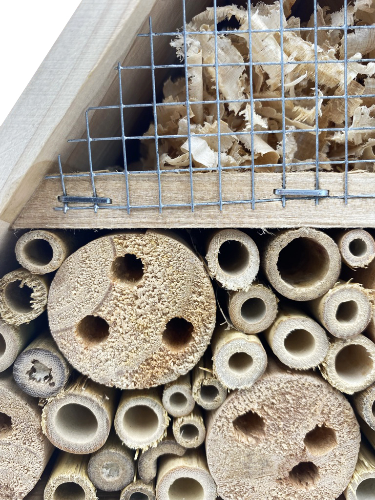 Hôtel à Insectes 4