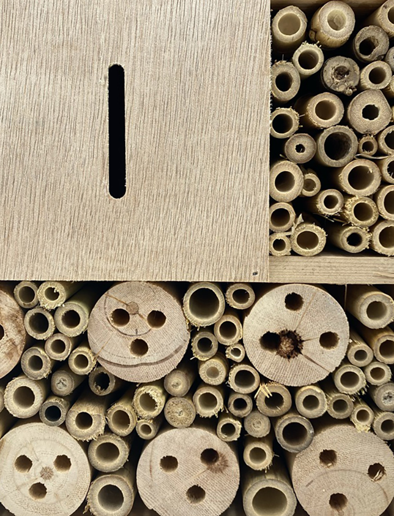 Hôtel à Insectes 3