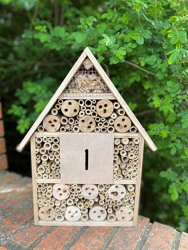 Hôtel à Insectes 2